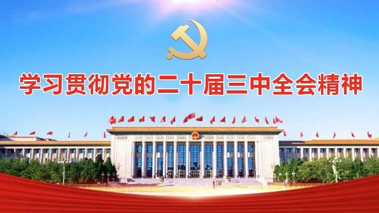 學習貫徹黨的二十屆三中全會精神